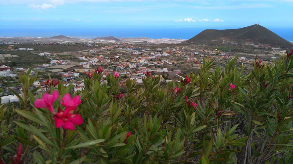 Tenerife View