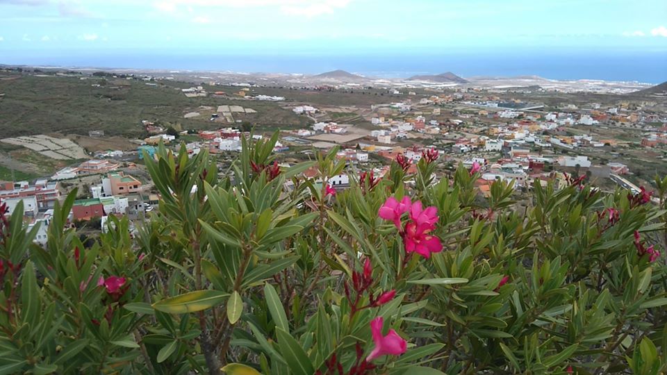 Tenerife View