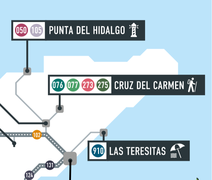 Tenerife Bus, Public Transport