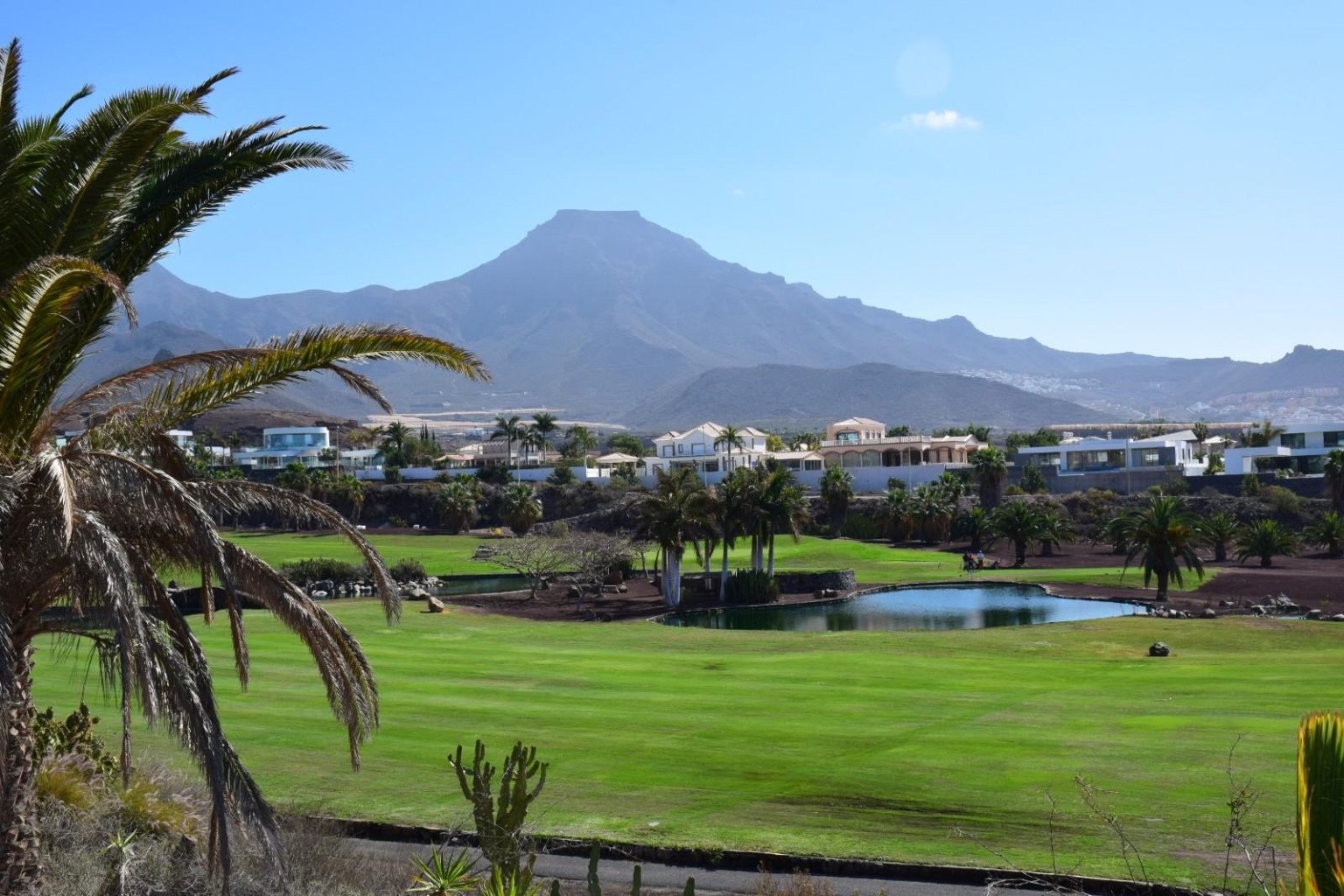 La Caleta in Tenerife South & its amazing views TFS Guide
