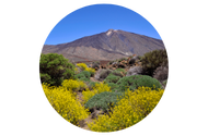 National Park Teide